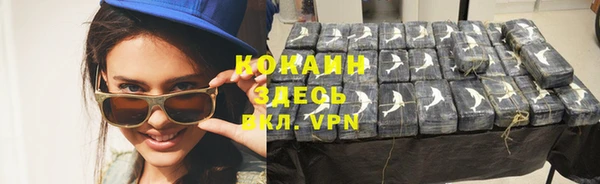 крисы Козловка