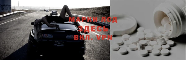 крисы Козловка