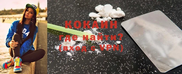крисы Козловка