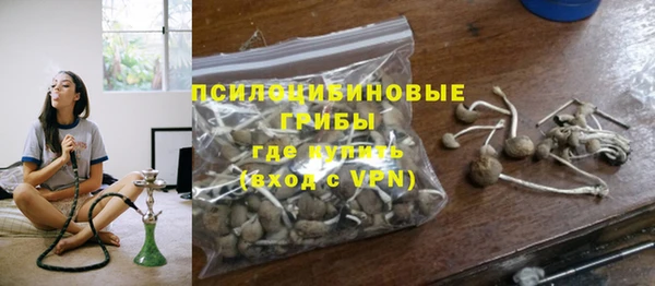 твердый Кодинск