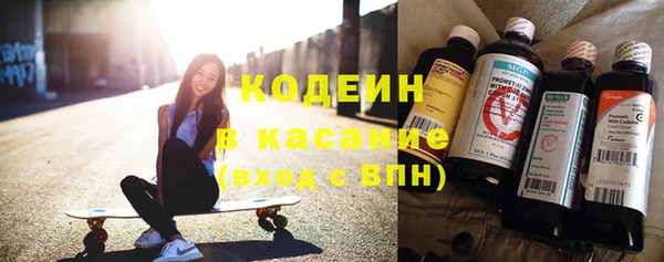 крисы Козловка