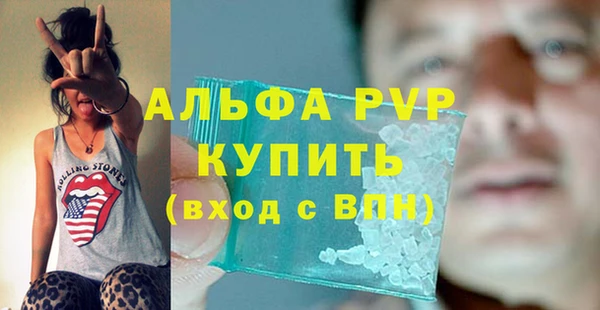 крисы Козловка